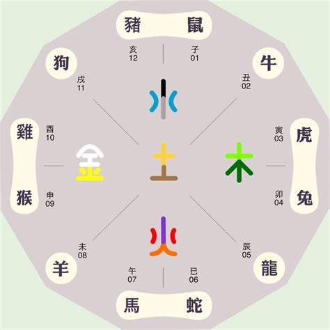 斐五行|斐字的五行属性是什么